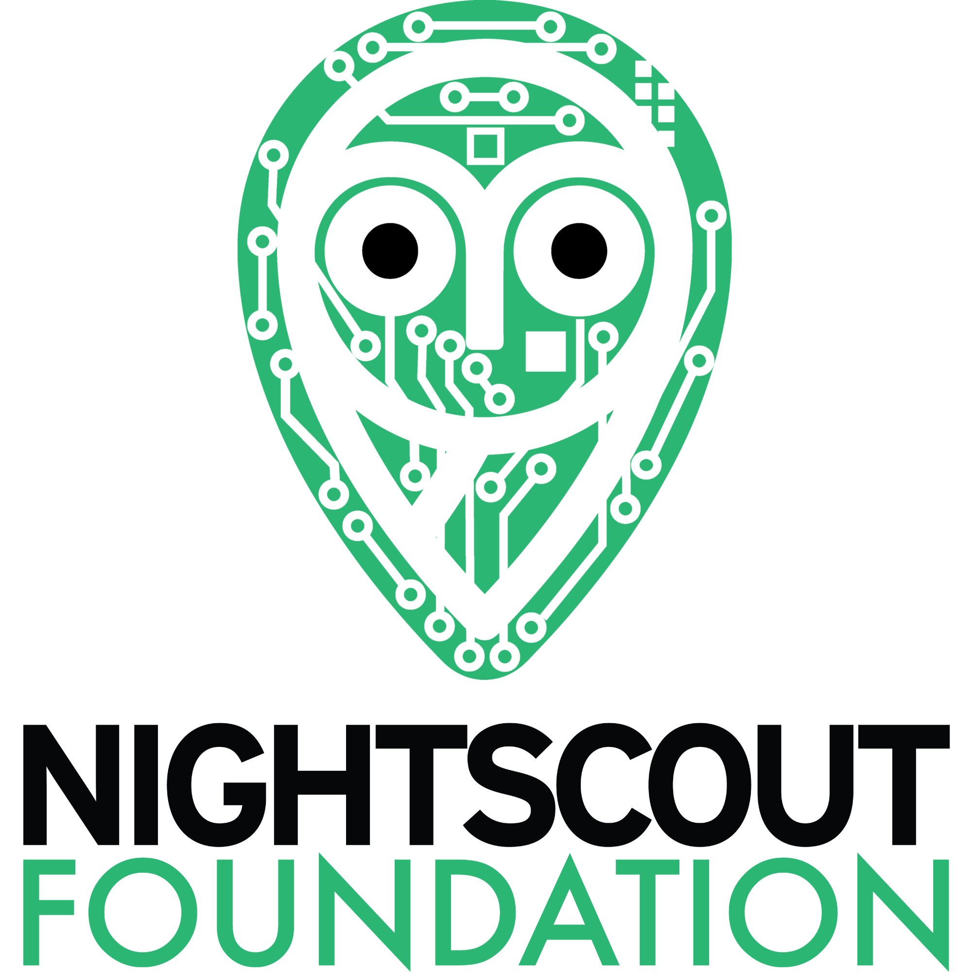 Nightscout Foundation Logo