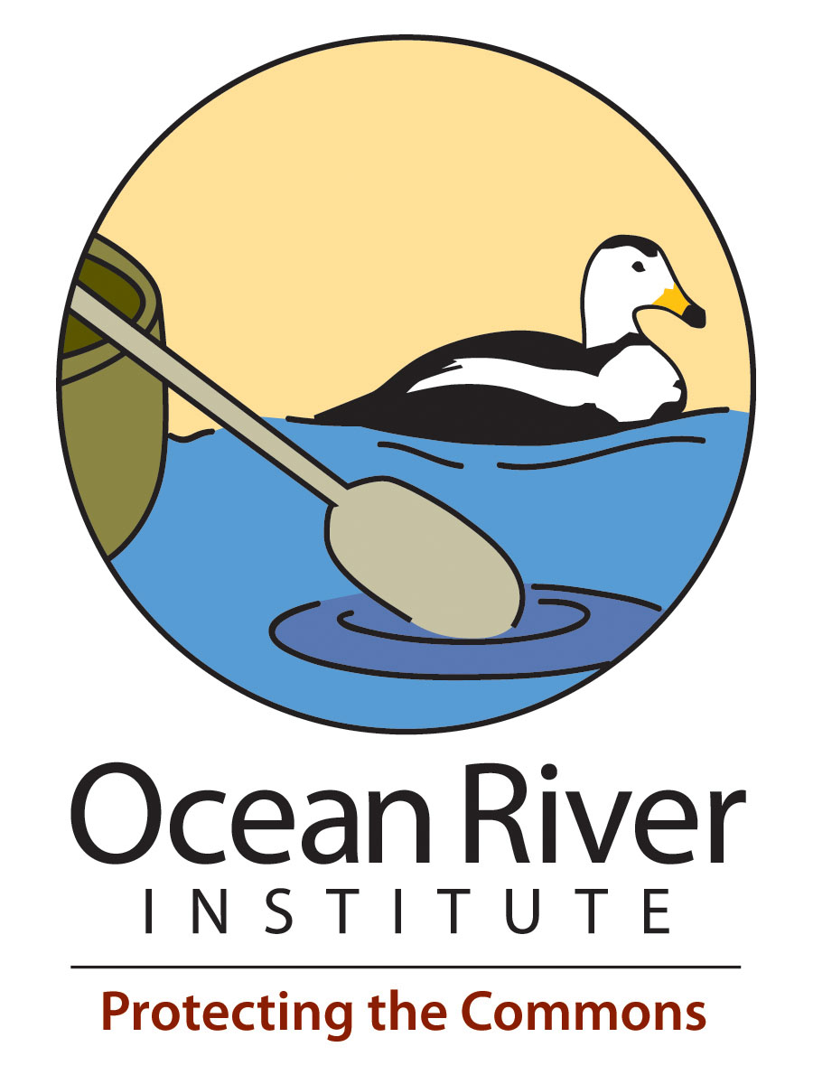 Ocean River Institute Inc Logo