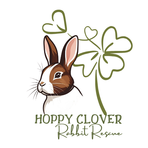 Hoppy Clover Rabbit Rescue Logo