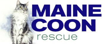 Maine Coon Rescue Logo