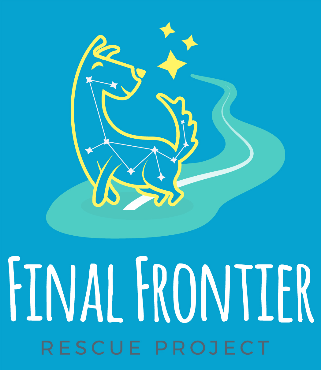 Final Frontier Rescue Project  Logo