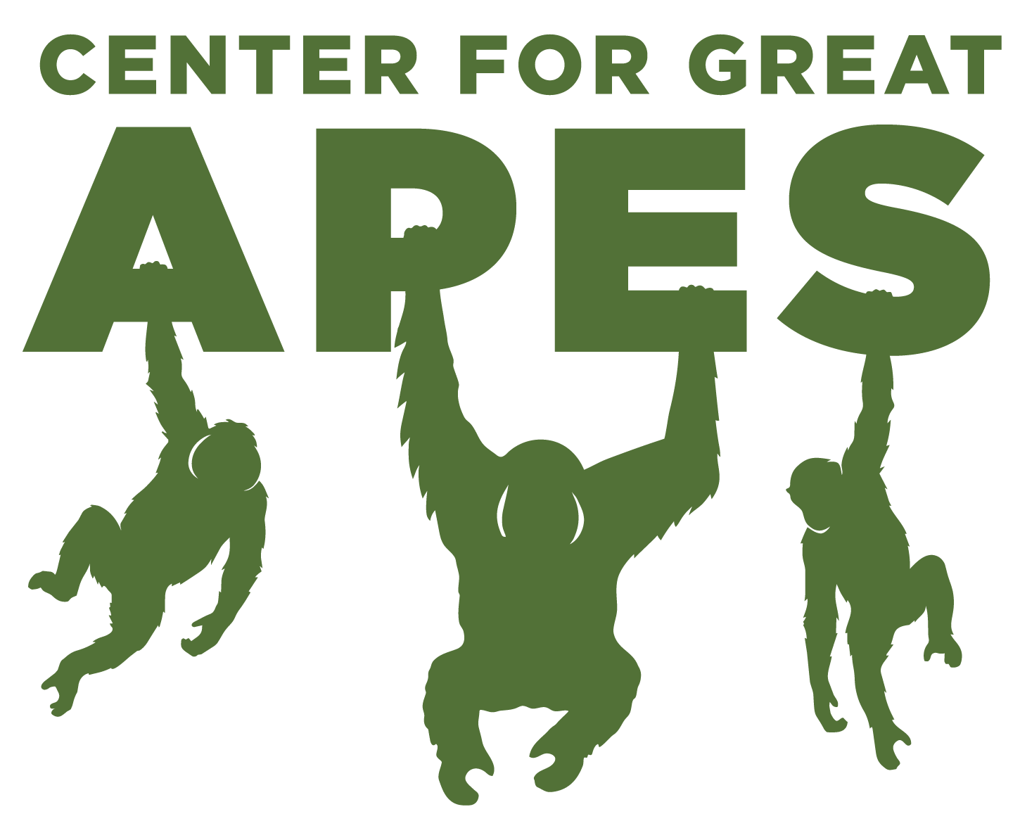 Center For Orangutan And Chimpanzee Conservation Inc Logo
