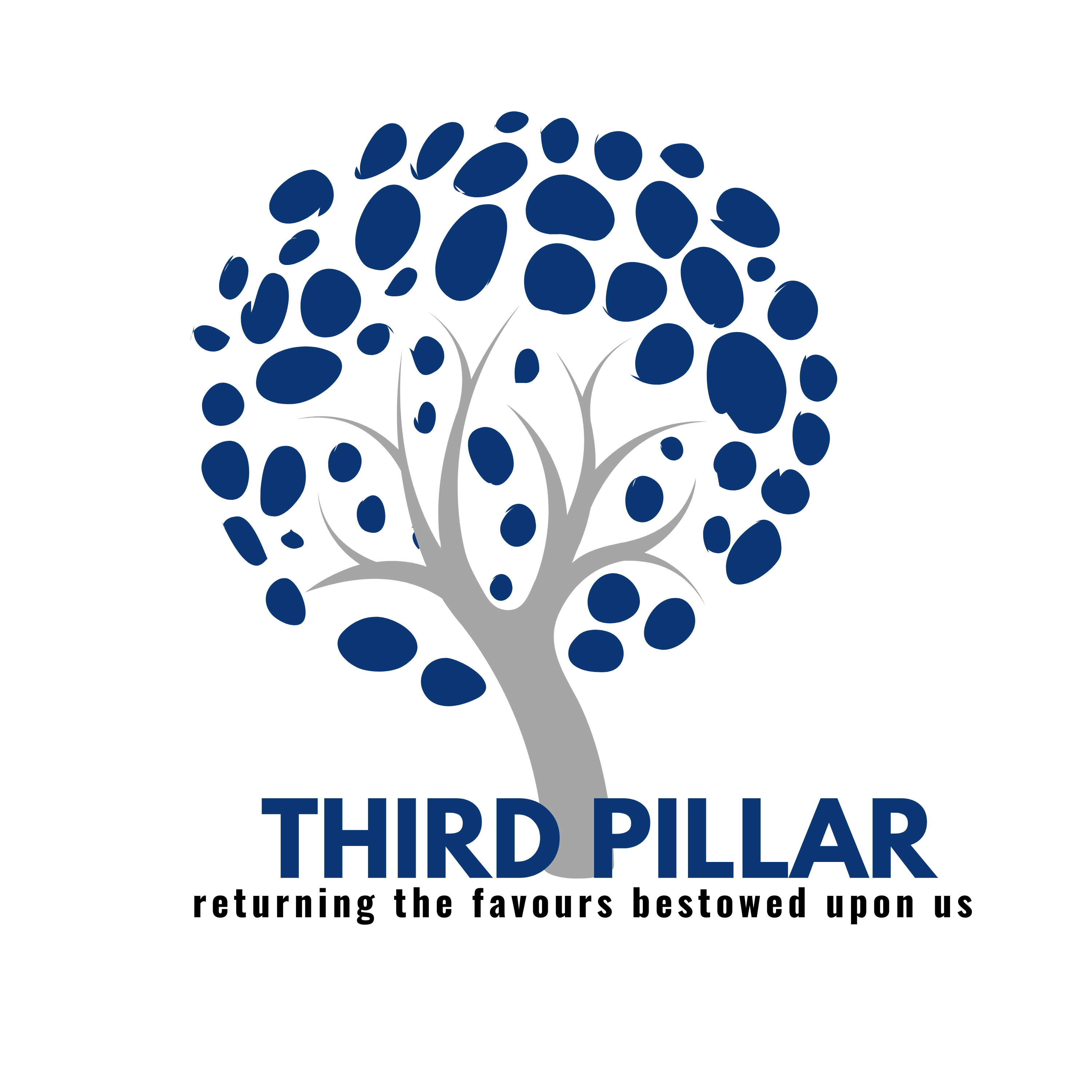 Third Pillar Islamic Charity Logo