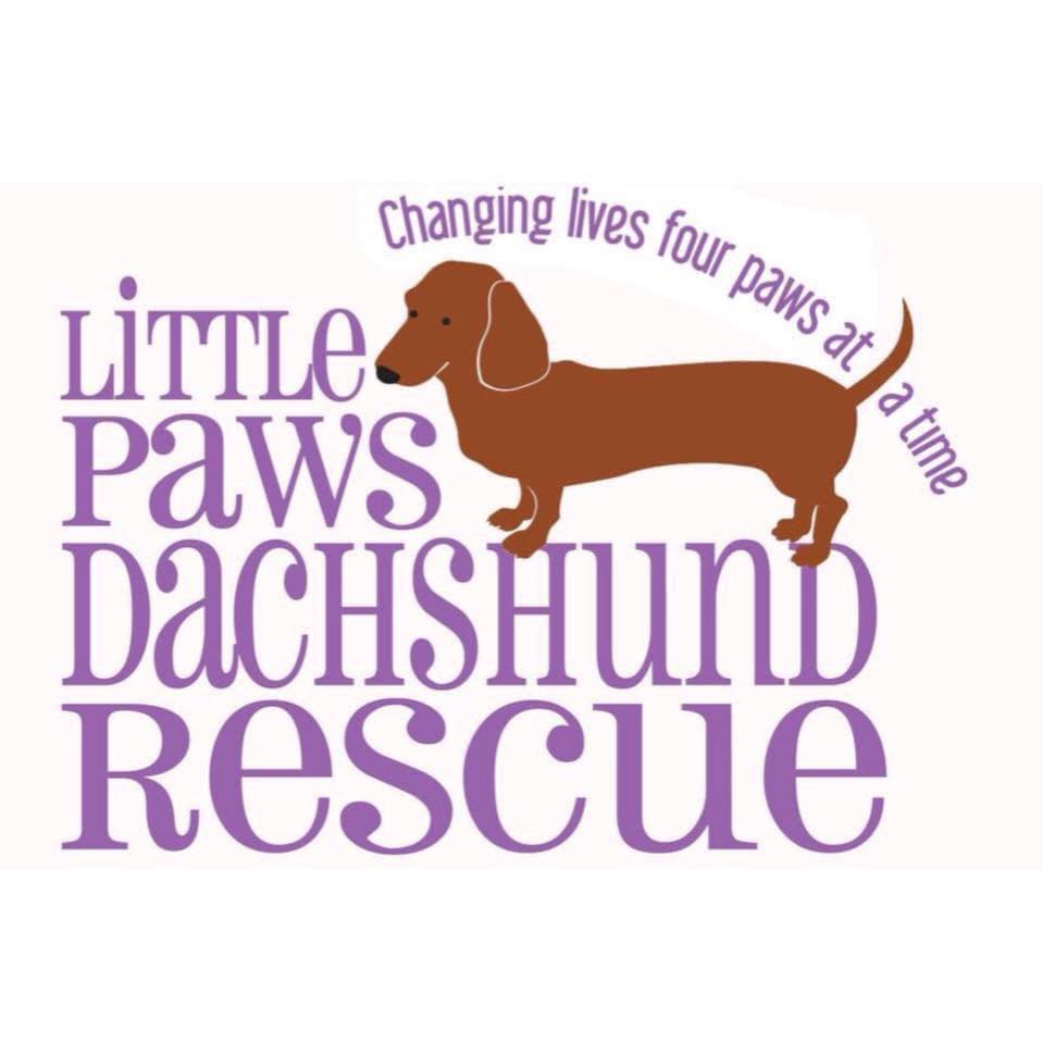 Little Paws Dachshund Rescue Logo