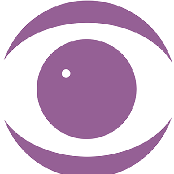 Macular Degeneration Foundation Inc Logo