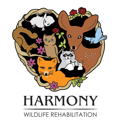 Harmony Wildlife Rehabilitation Center Logo