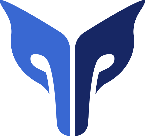 The Wily Network Inc Logo