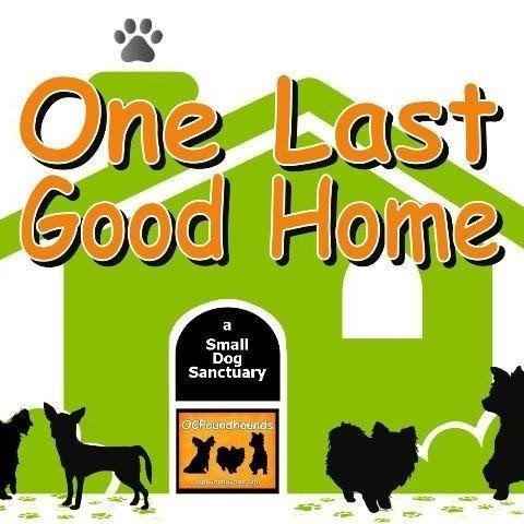 Ocpoundhounds Logo