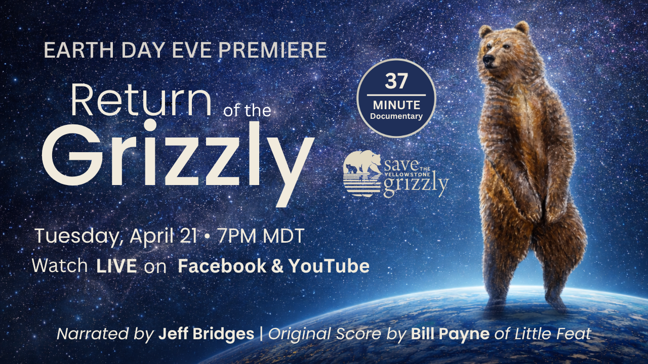 Save The Yellowstone Grizzly Logo