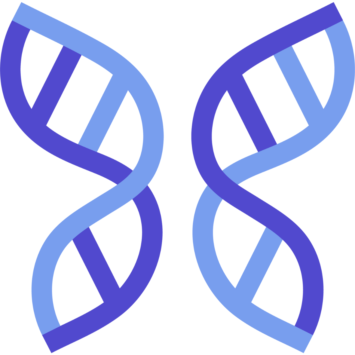 Dravet Syndrome Foundation Inc Logo
