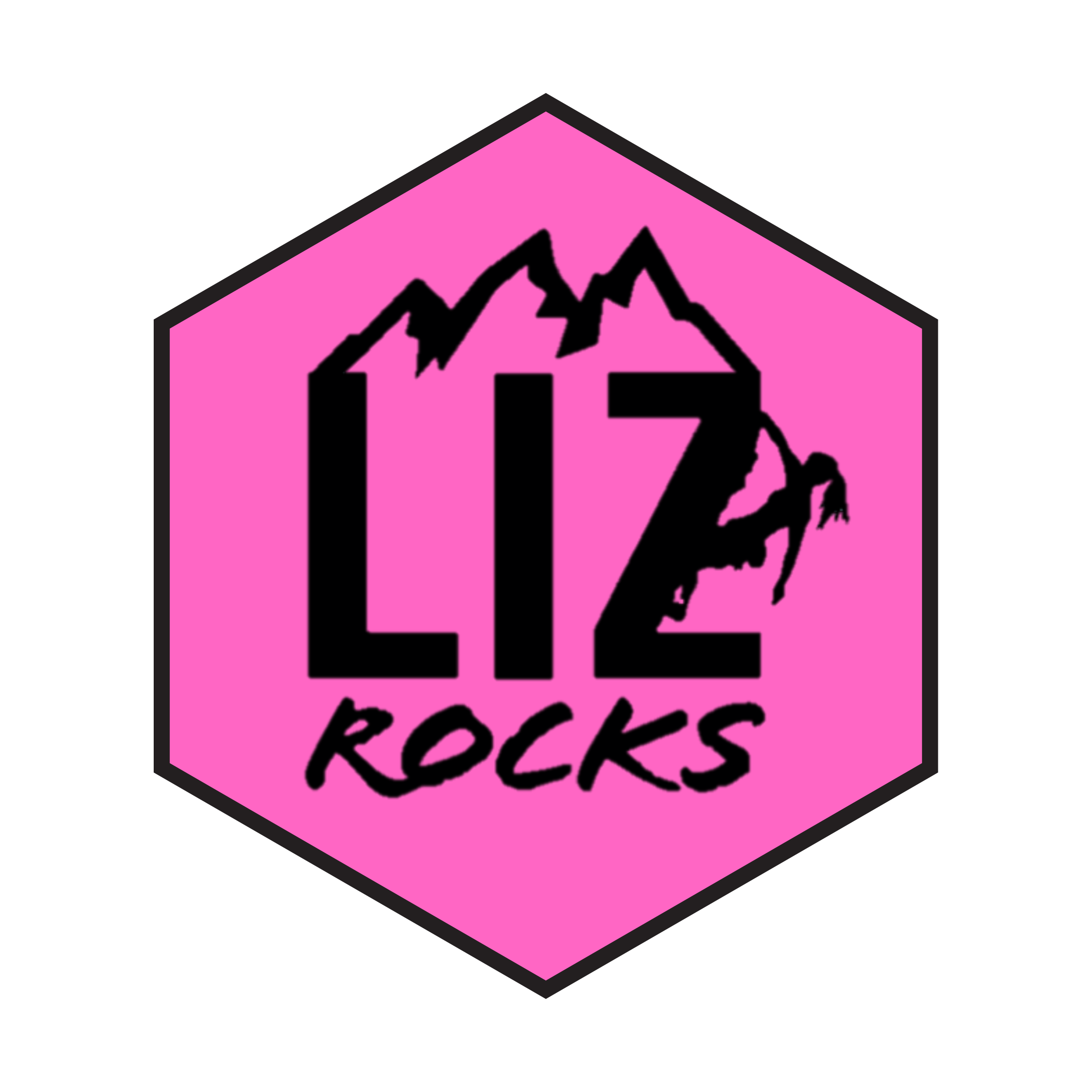 Liz Rocks Foundation Logo