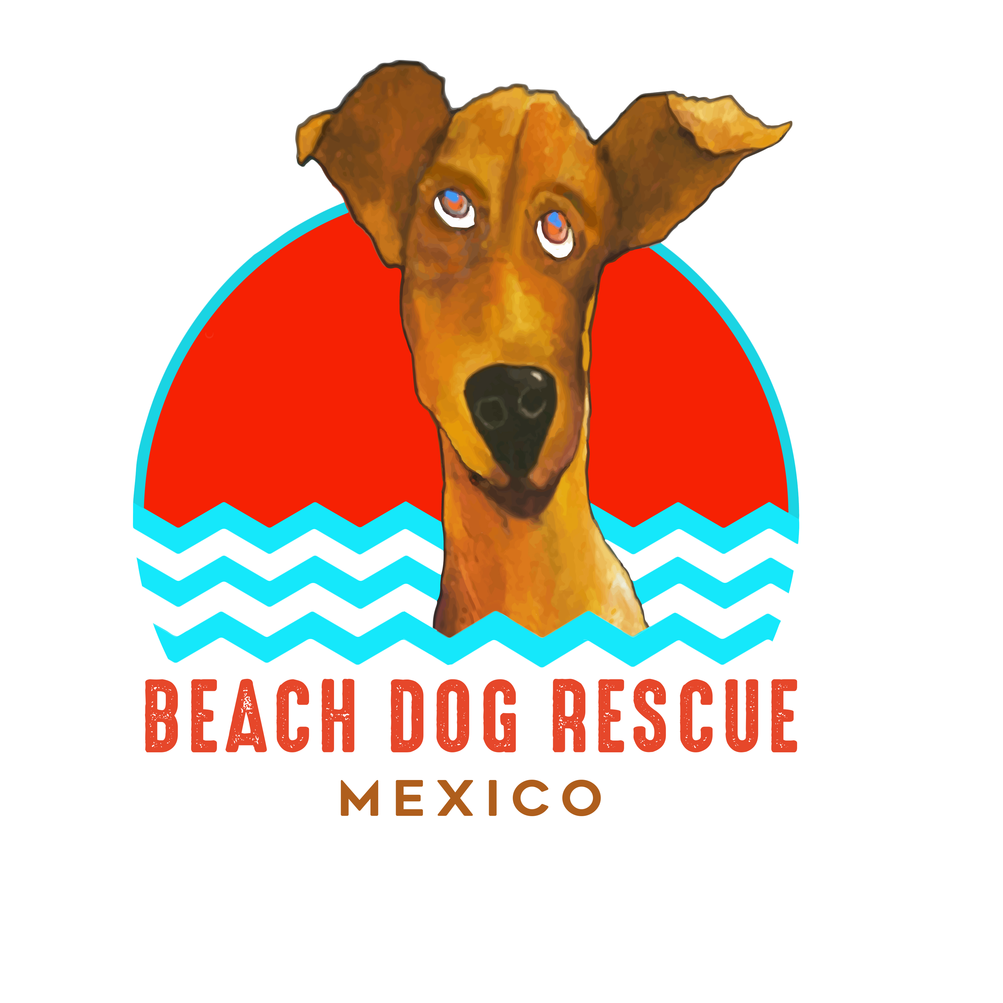 Beach Dog Rescue Of Costa Maya Mexico Inc Logo