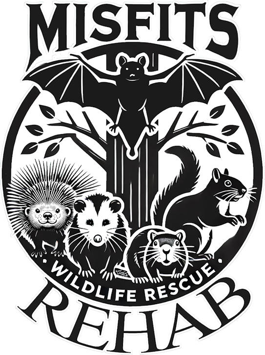 Misfits Rehab Logo