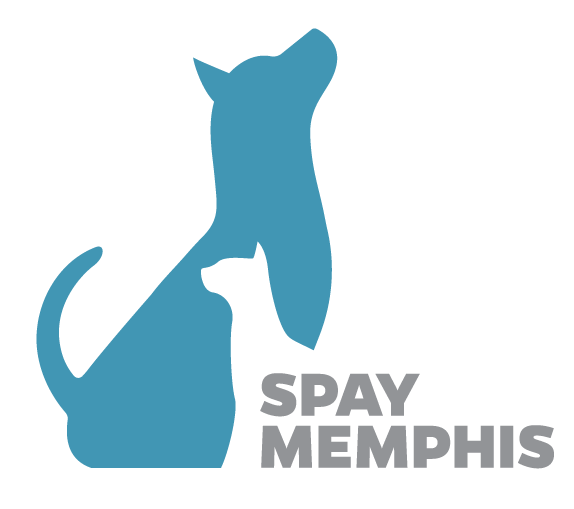 Animal Protection Association Inc Logo
