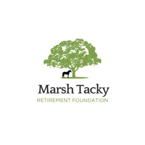 Marsh Tacky Sc State Heritage Horse Retirement Center Logo
