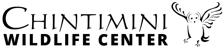 Chintimini Wildlife Center Logo