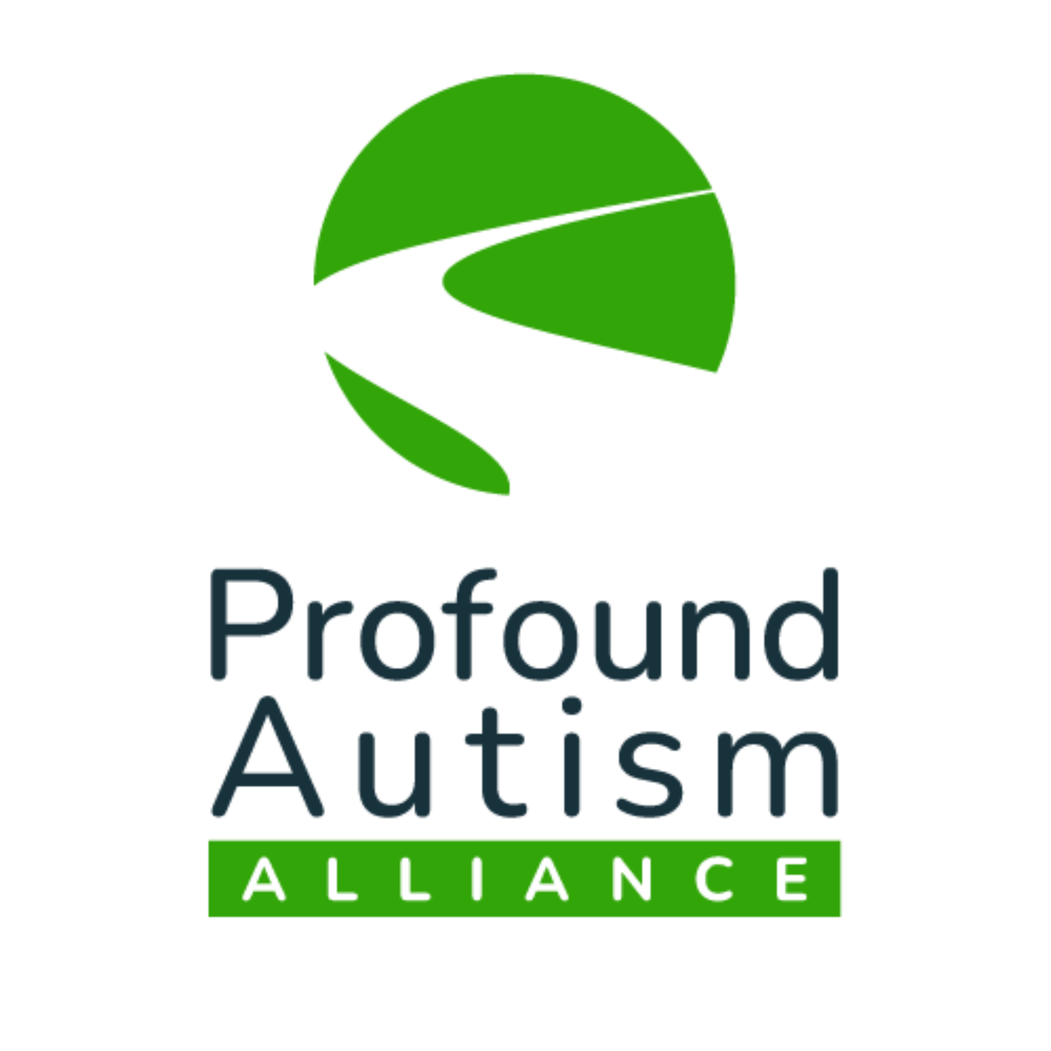 Profound Autism Alliance Logo