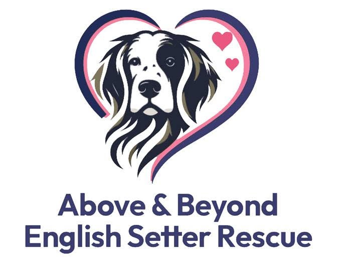 Above And Beyond English Setter Rescue Logo