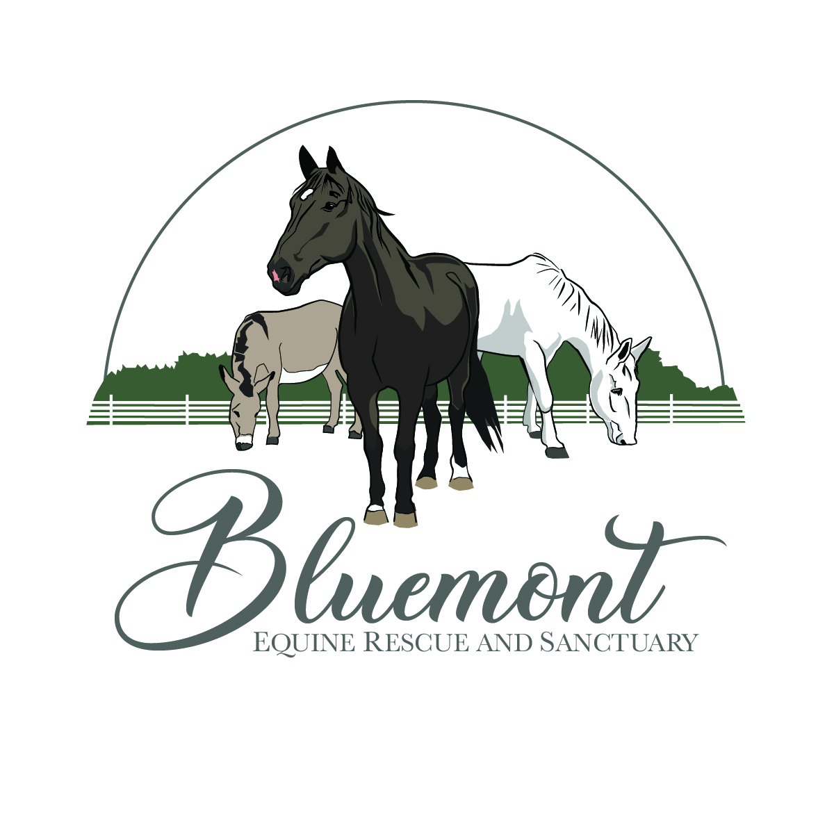 Bluemont Sanctuary Logo