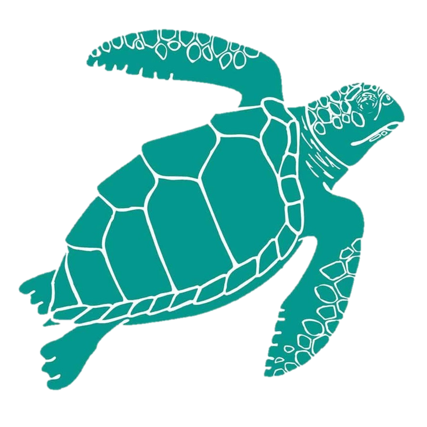 Karen Beasley Sea Turtle Rescue And Rehabilitation Center Logo