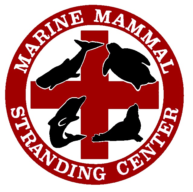 Marine Mammal Stranding Center Logo