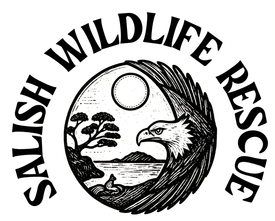 Wolf Hollow Wildlife Rehabilitation Centre Logo