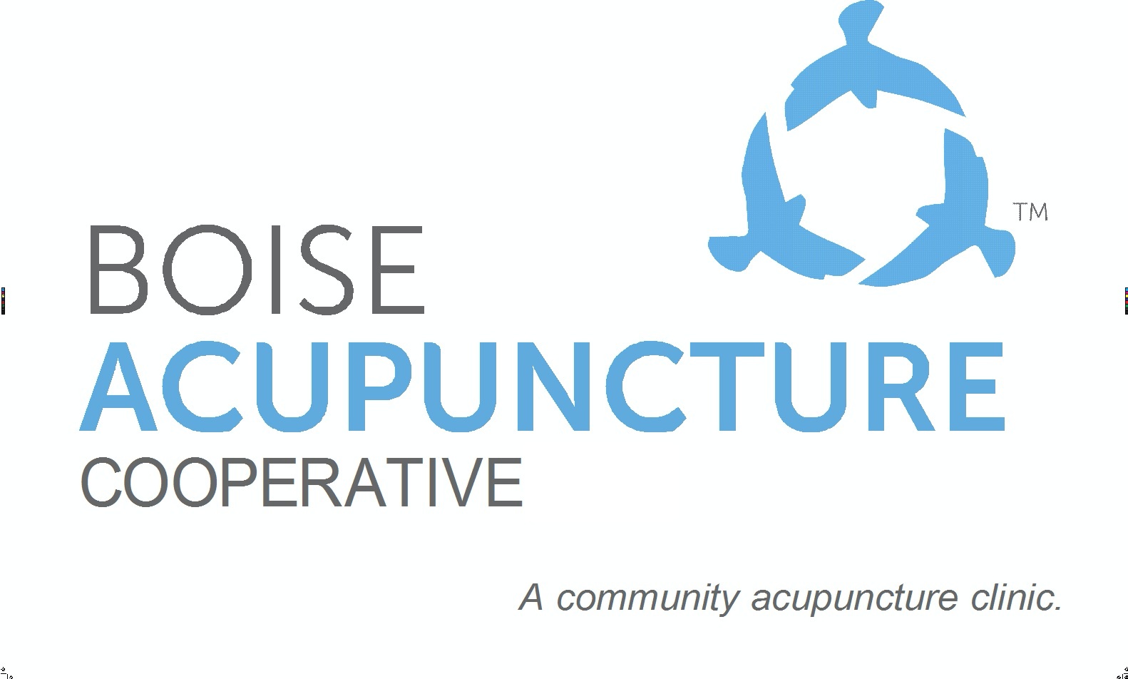 Boise Acupuncture Cooperative Logo