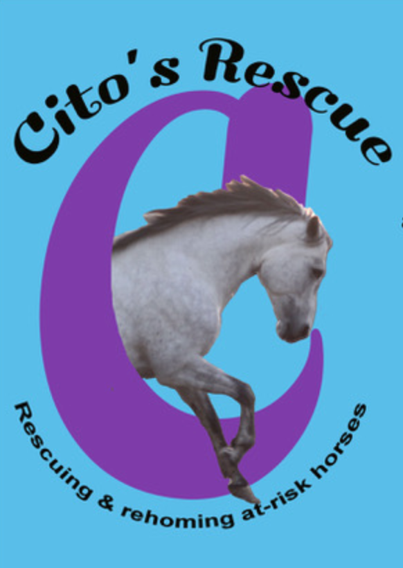 Citos Rescue Logo