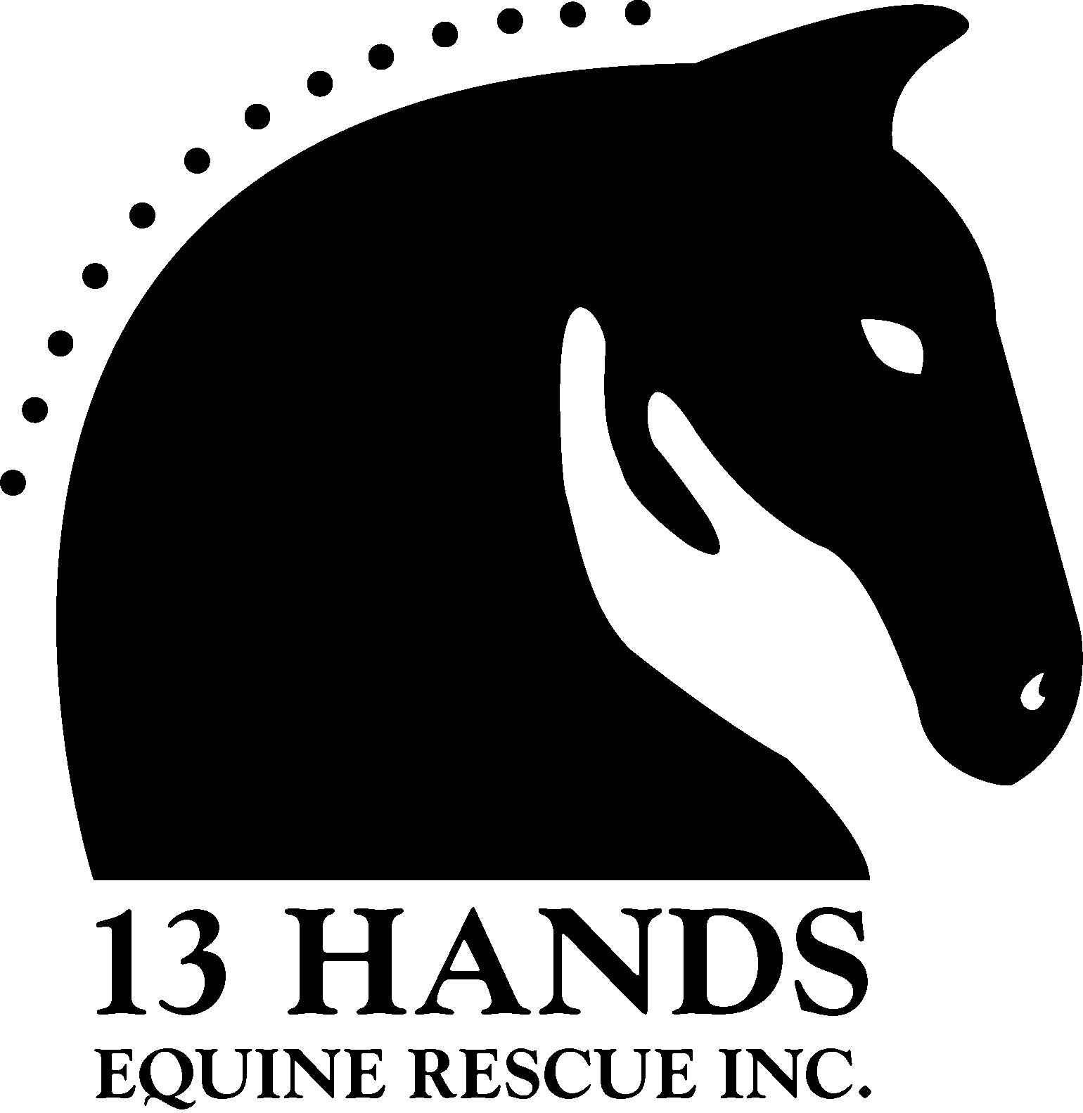 13 Hands Equine Rescue Logo