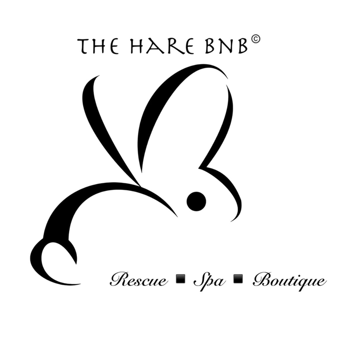 Hare Bnb Rescue Logo