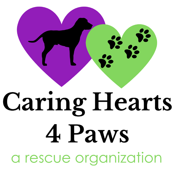 Caring Hearts 4 Paws Logo