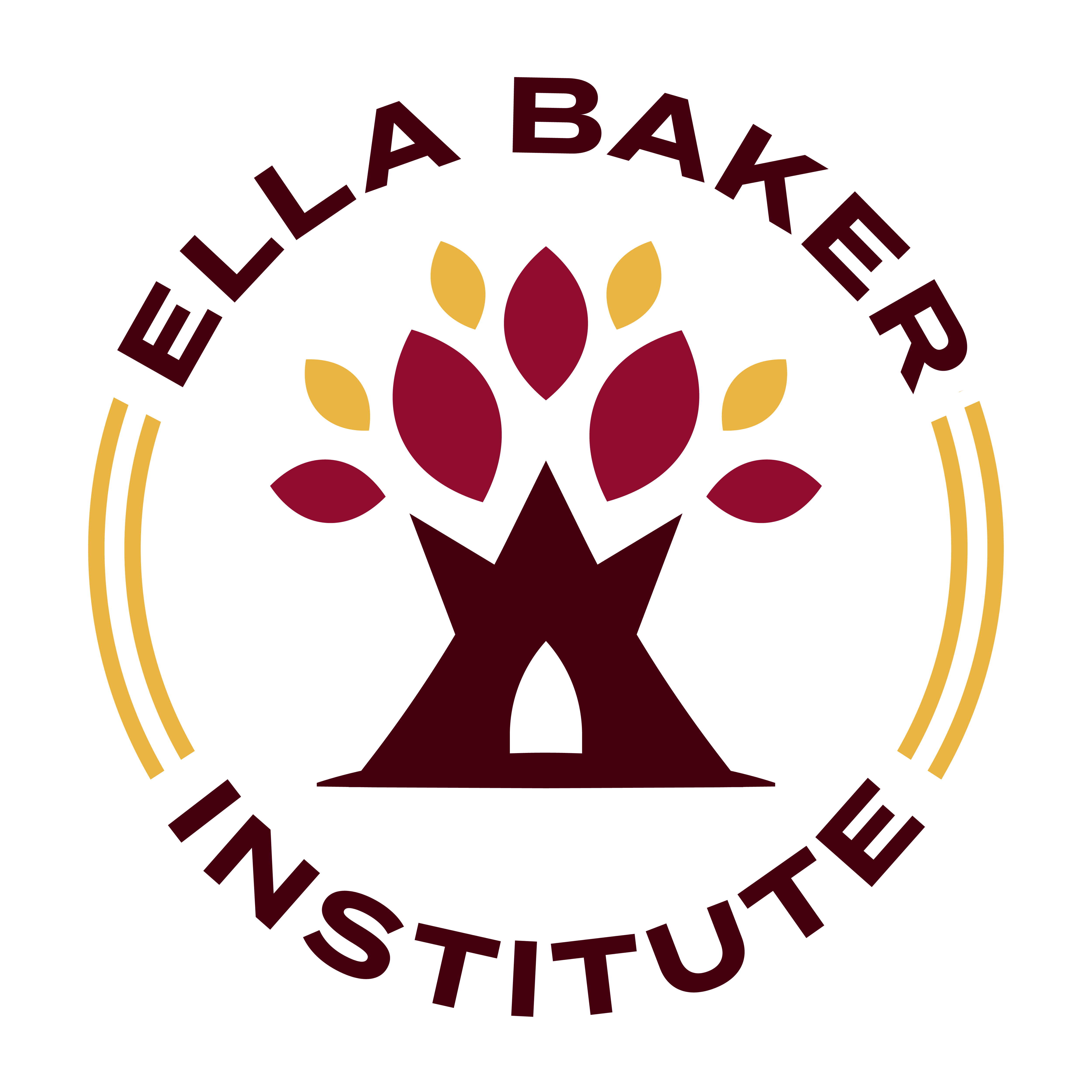 Ella Baker Institute Inc Logo