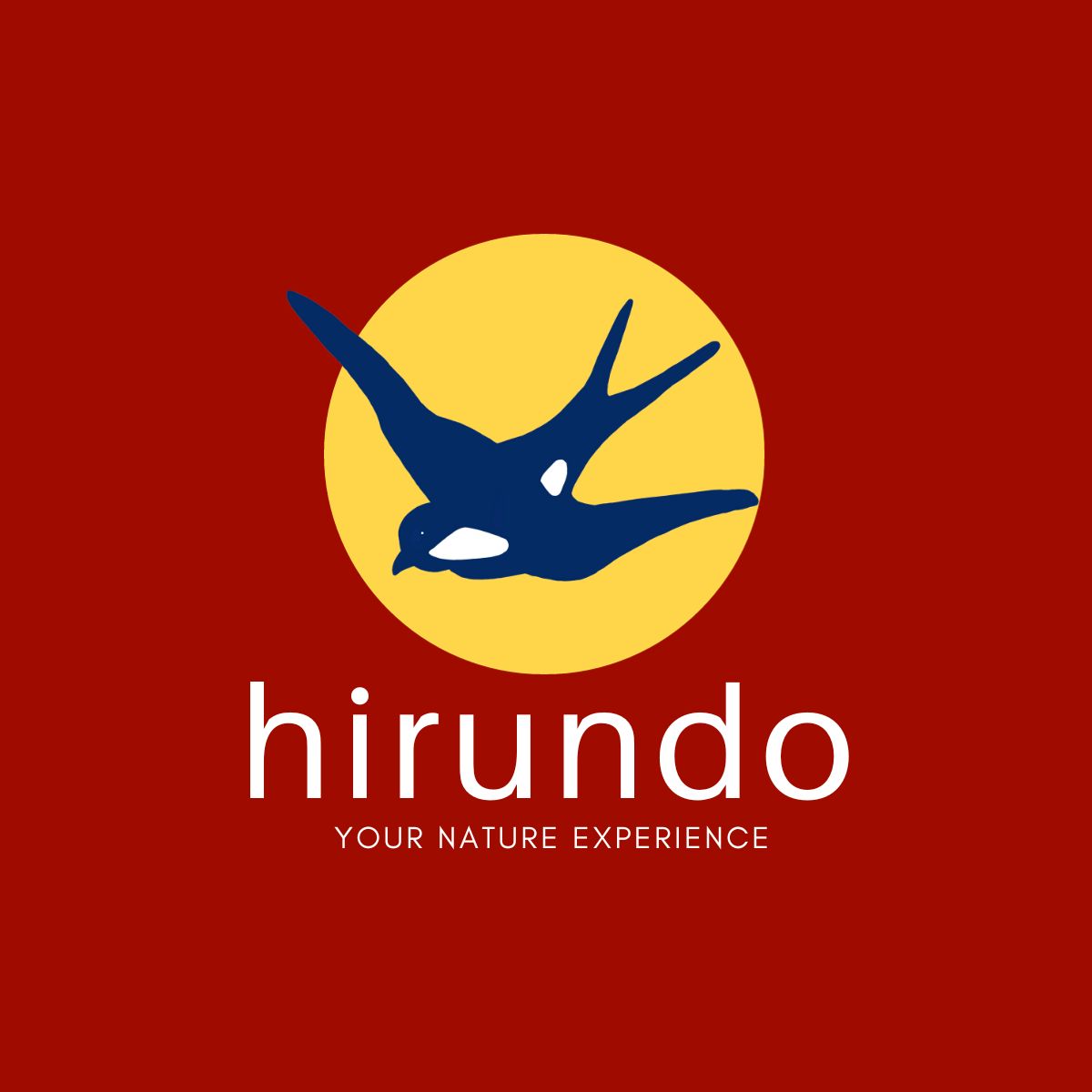 Hirundo Wildlife Trust Logo