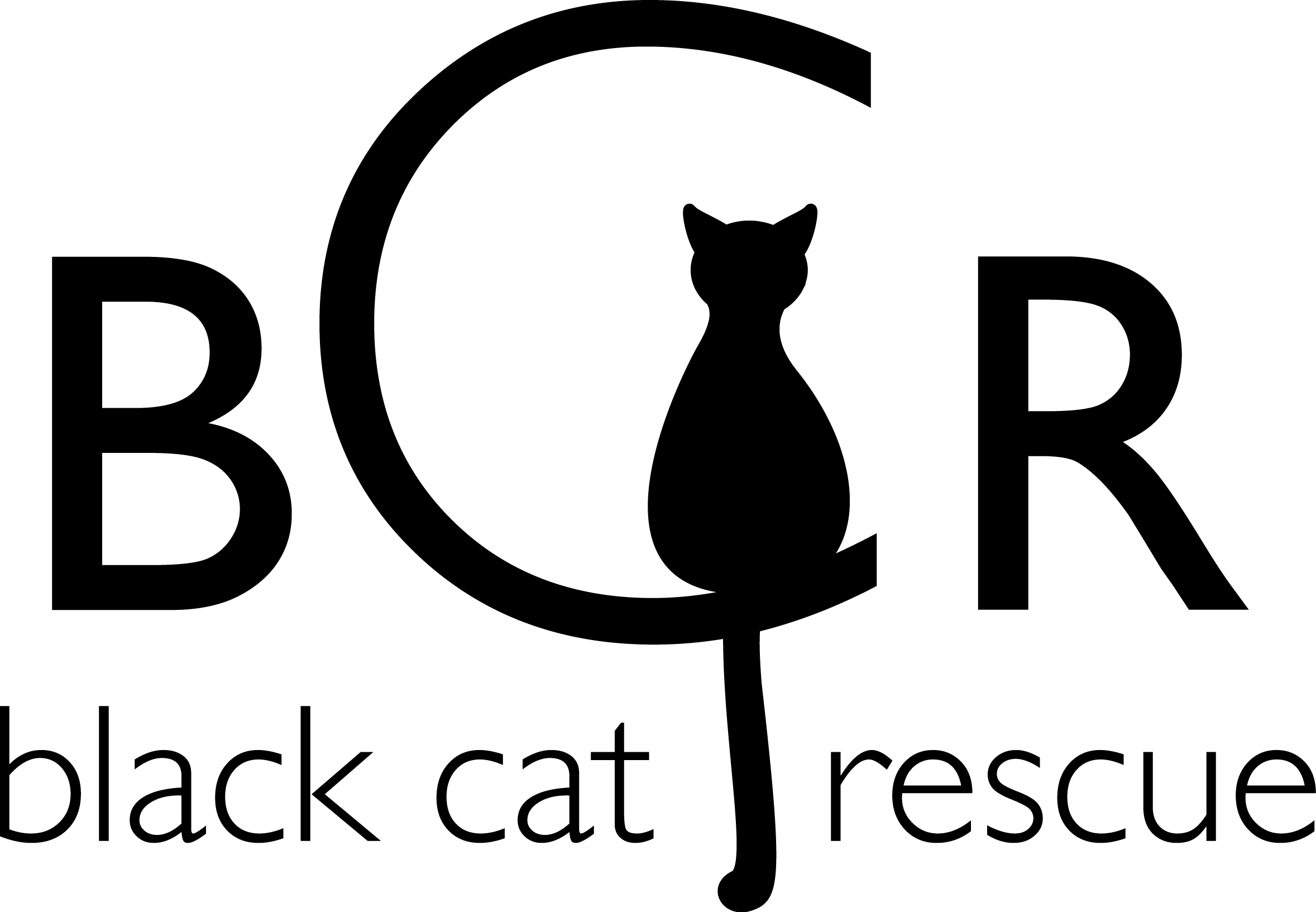 Black Cat Rescue Inc Logo
