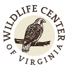 Wildlife Center Of Virginia Logo