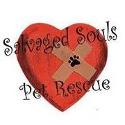 Salvaged Souls Pet Rescue Logo