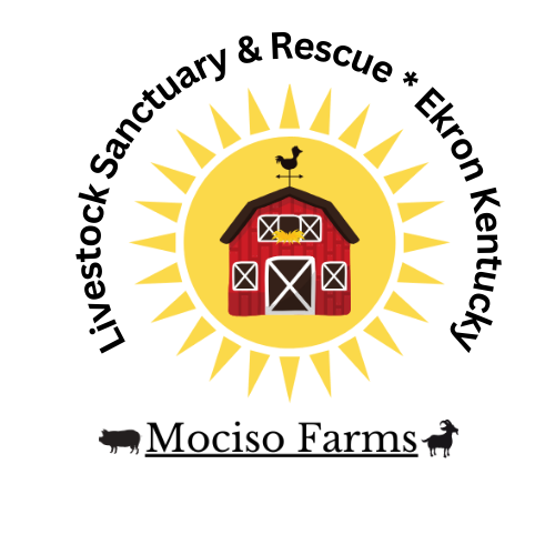 Mociso Farms Livestock Sanctuary & Rescue Ltd. Logo