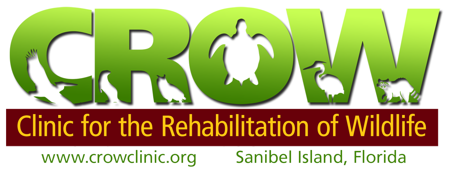 Clinic For The Rehabilitation Of Wildlife Inc Logo