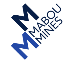 Mabou Mines Development Foundation Inc Logo