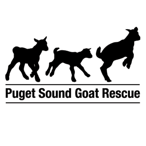 Puget Sound Goat Rescue And Adoption Logo