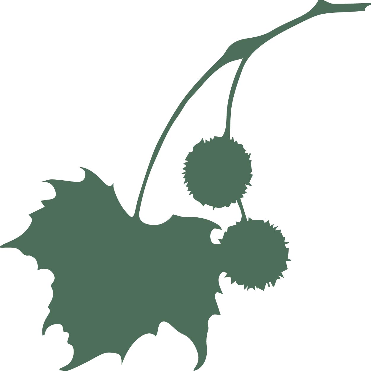 Willistown Conservation Trust Logo