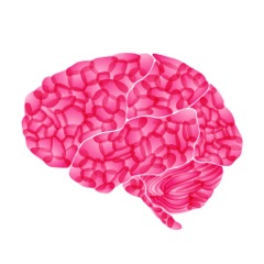 PINK Concussions Inc. Logo