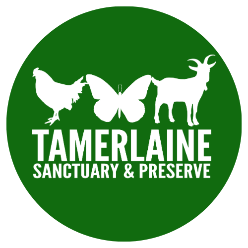 Tamerlaine Farm Animal Sanctuary Inc Logo