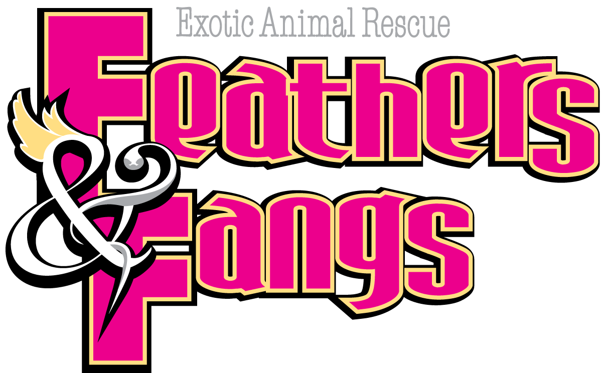 Feathers & Fangs Logo
