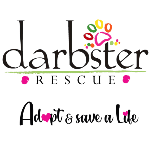 Darbster Foundation Logo