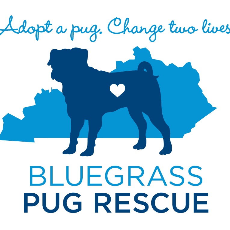 Bluegrass Pug Rescue Logo