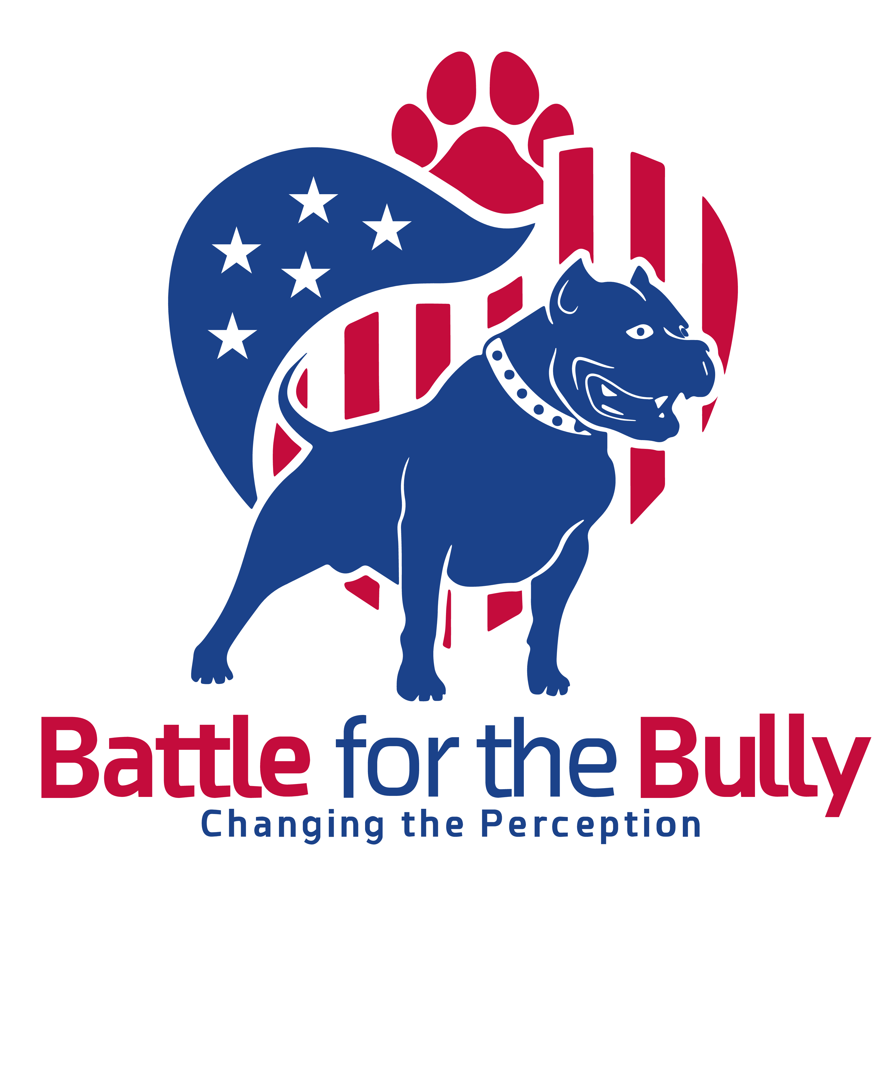 Battle For The Bully   Changing The Perception Logo