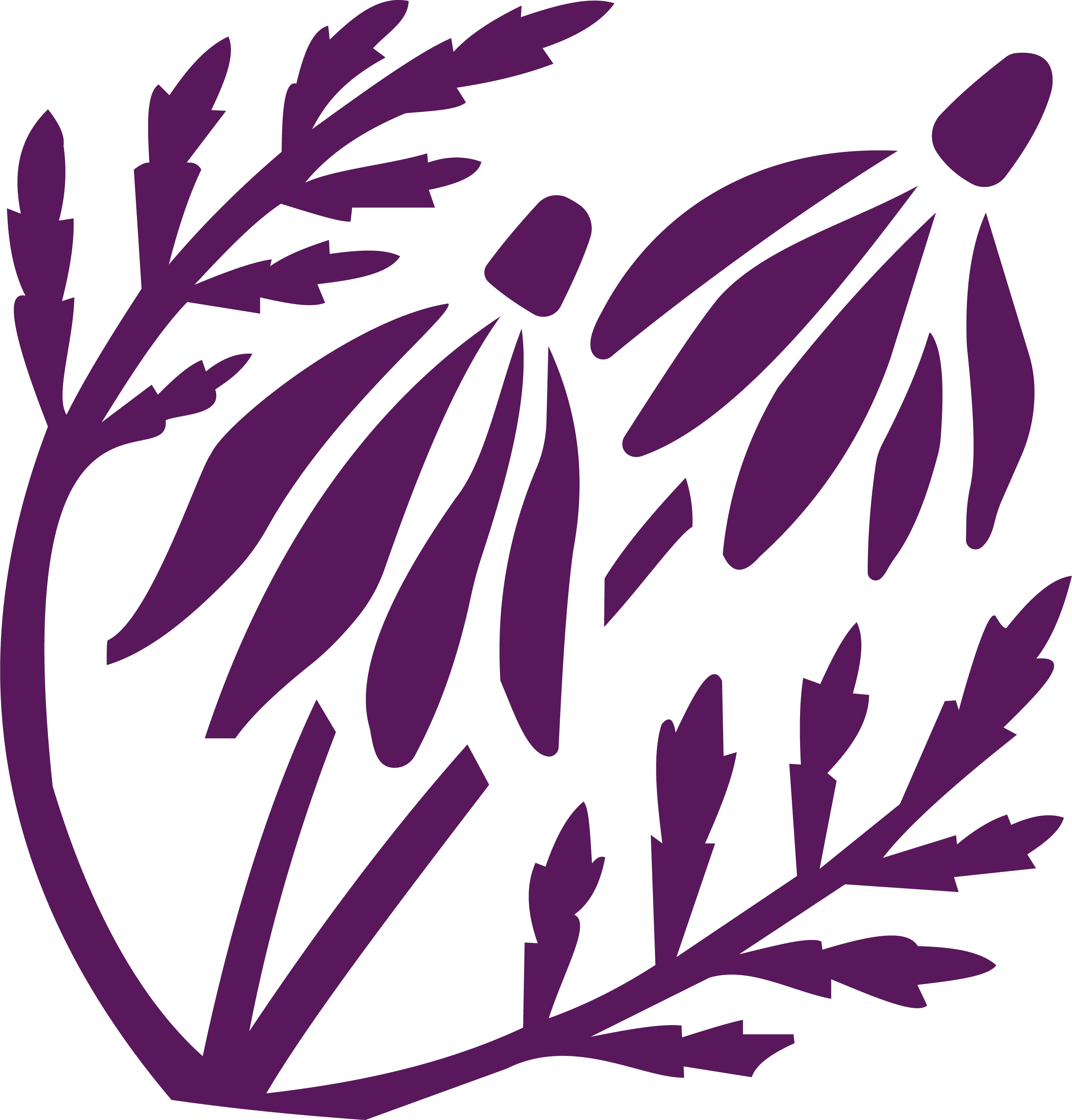 Prairie Hill Waldorf School Ltd Logo