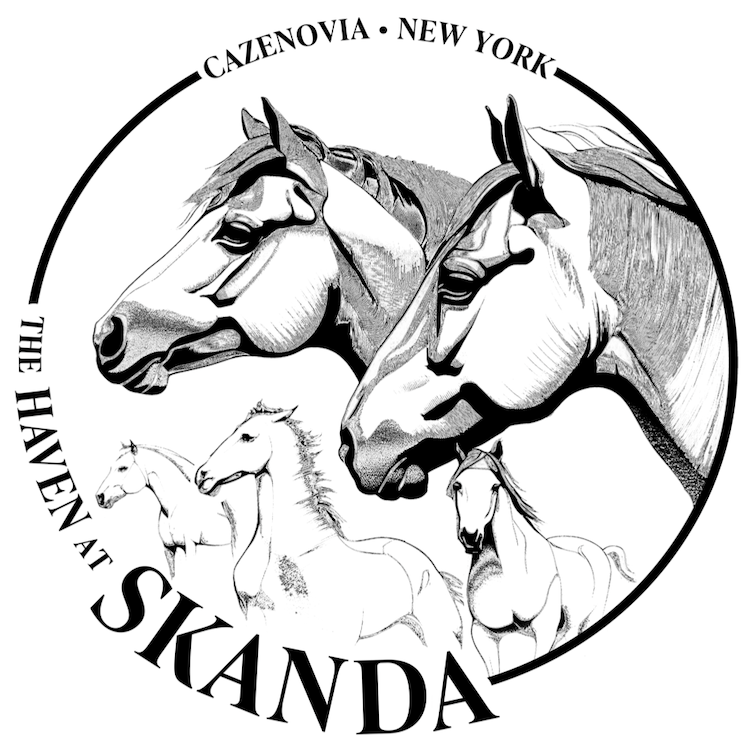 Haven At Skanda Logo