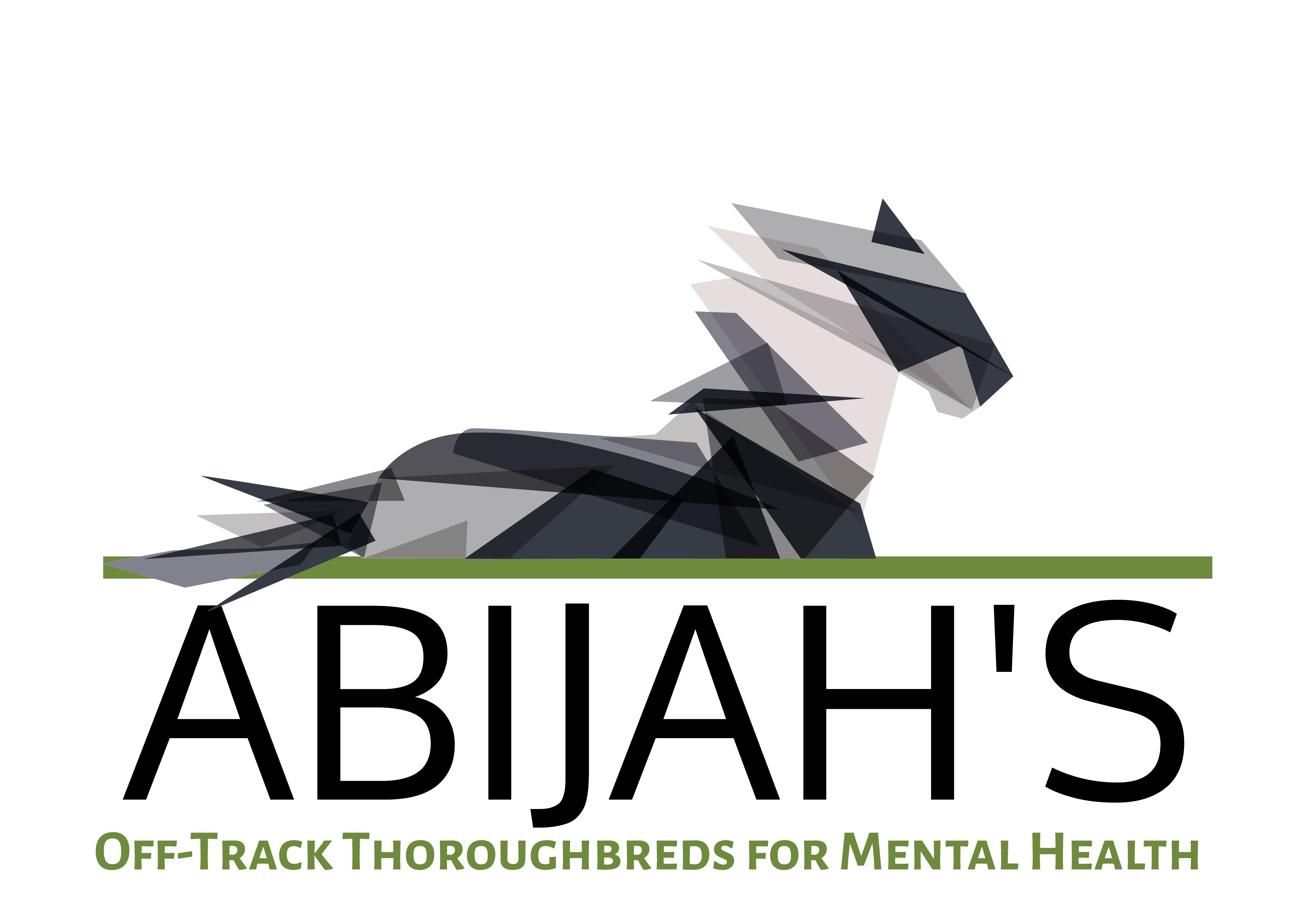Donate to Abijahs Foundation